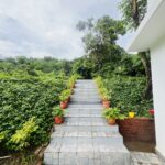 kitchen garden img