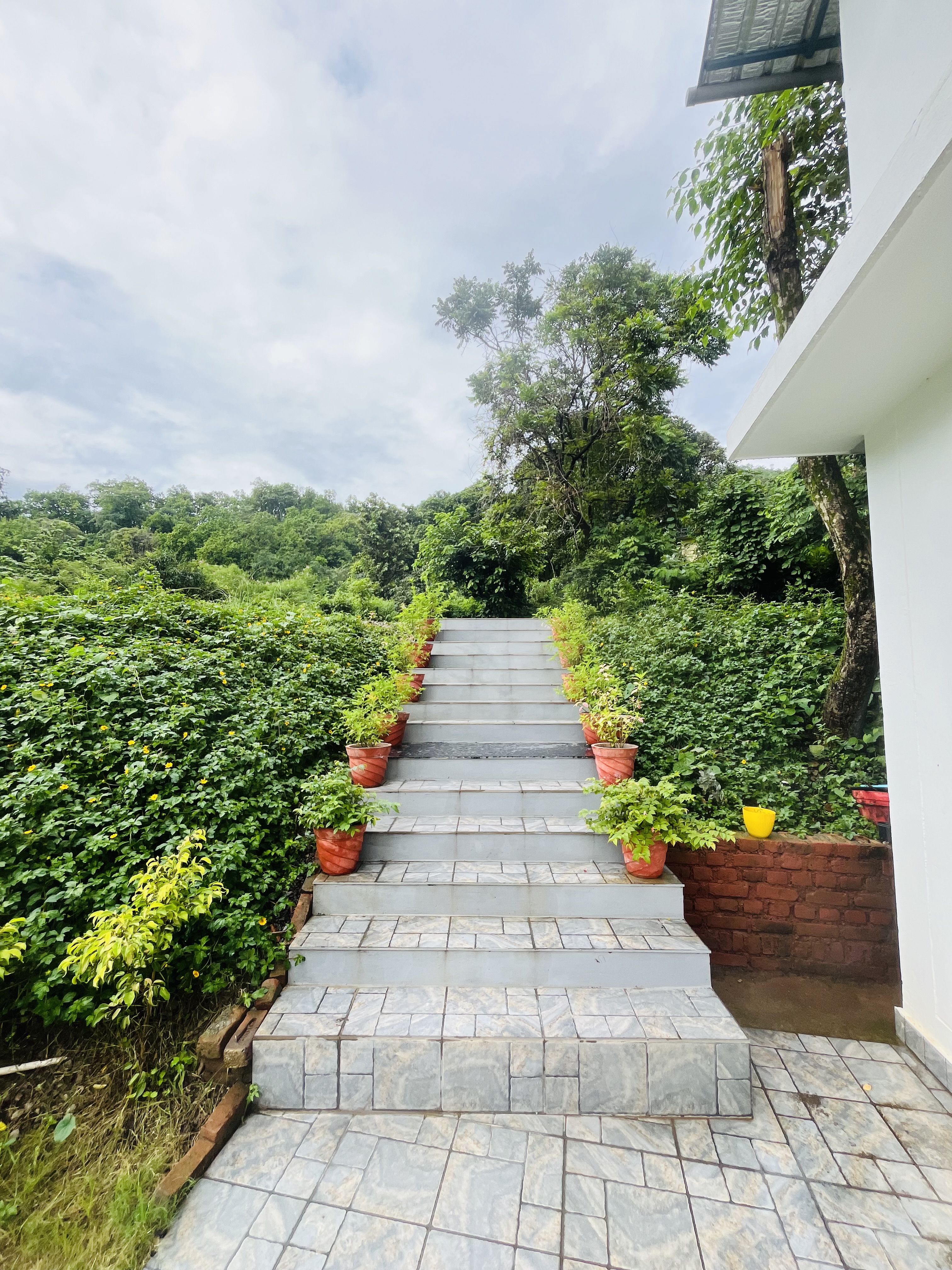 http://kitchen%20garden%20img
